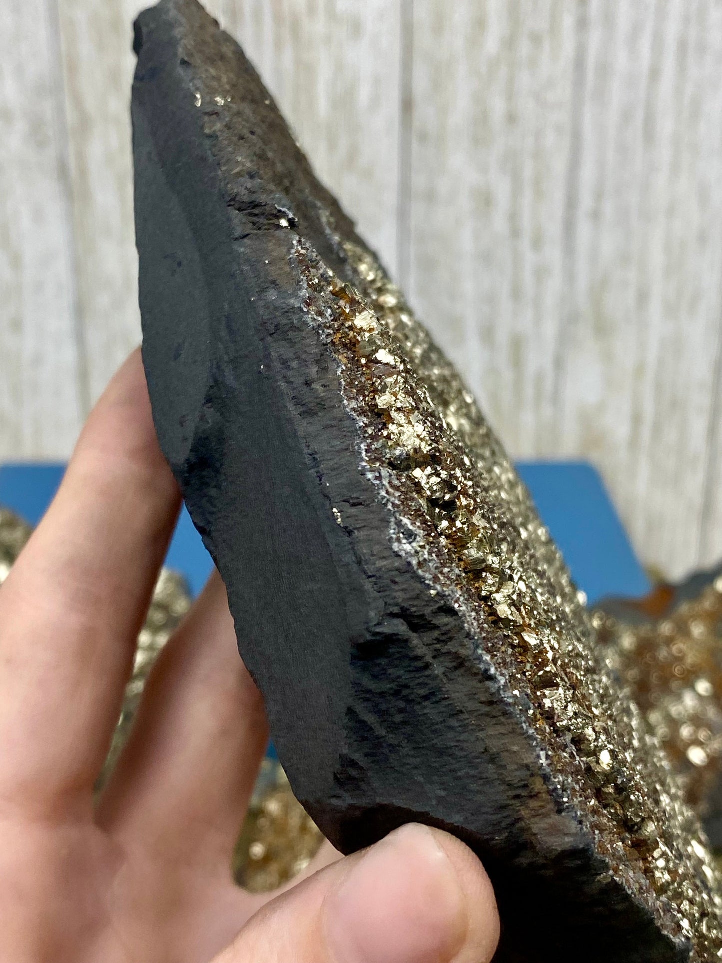 Pyrite on Shungite Raw Layered Plate | Brazil
