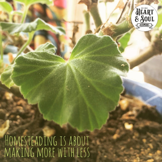 Elevate Your Energy: Simple Home Cleansing Rituals for Everyday Magic