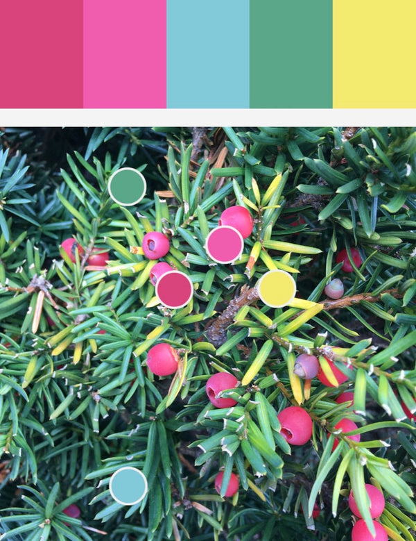 How I Choose the Color Palettes for My Art and Design Work