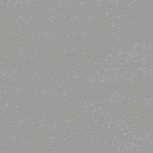 A bird flying in the air with a gray background