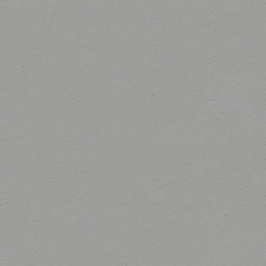 A bird flying in the air with a gray background