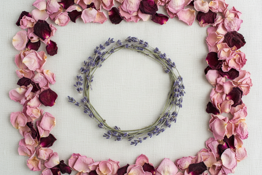 The Essential Guide to Building Your Own Home Apothecary