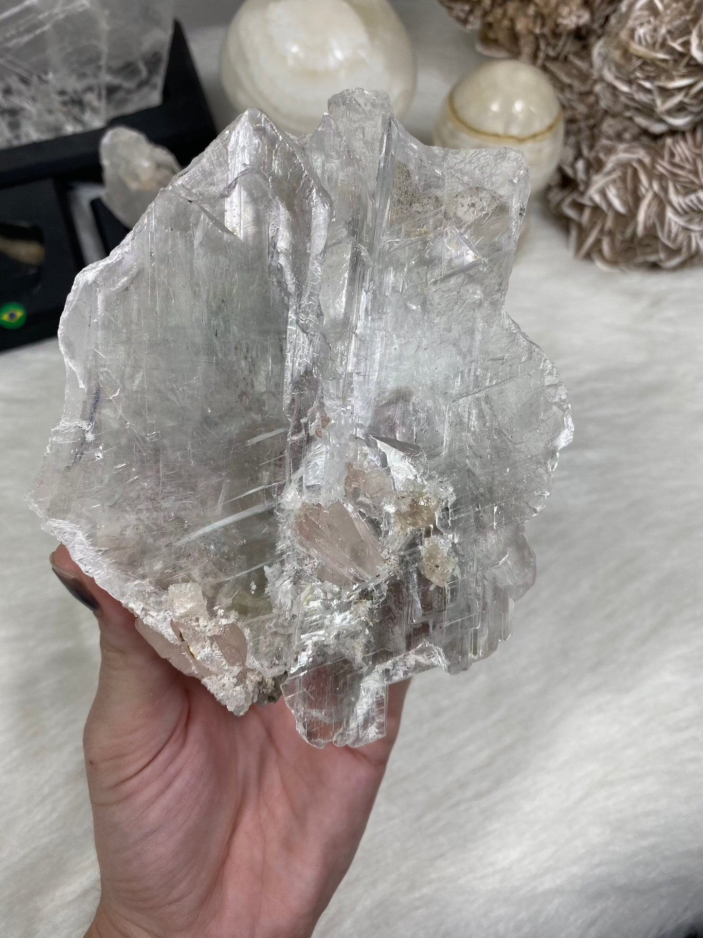Selenite Raw Specimen Medium on Wood Base | Brazil