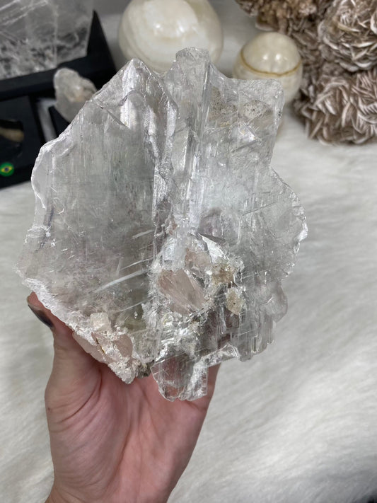 Selenite Raw Specimen Medium on Wood Base | Brazil
