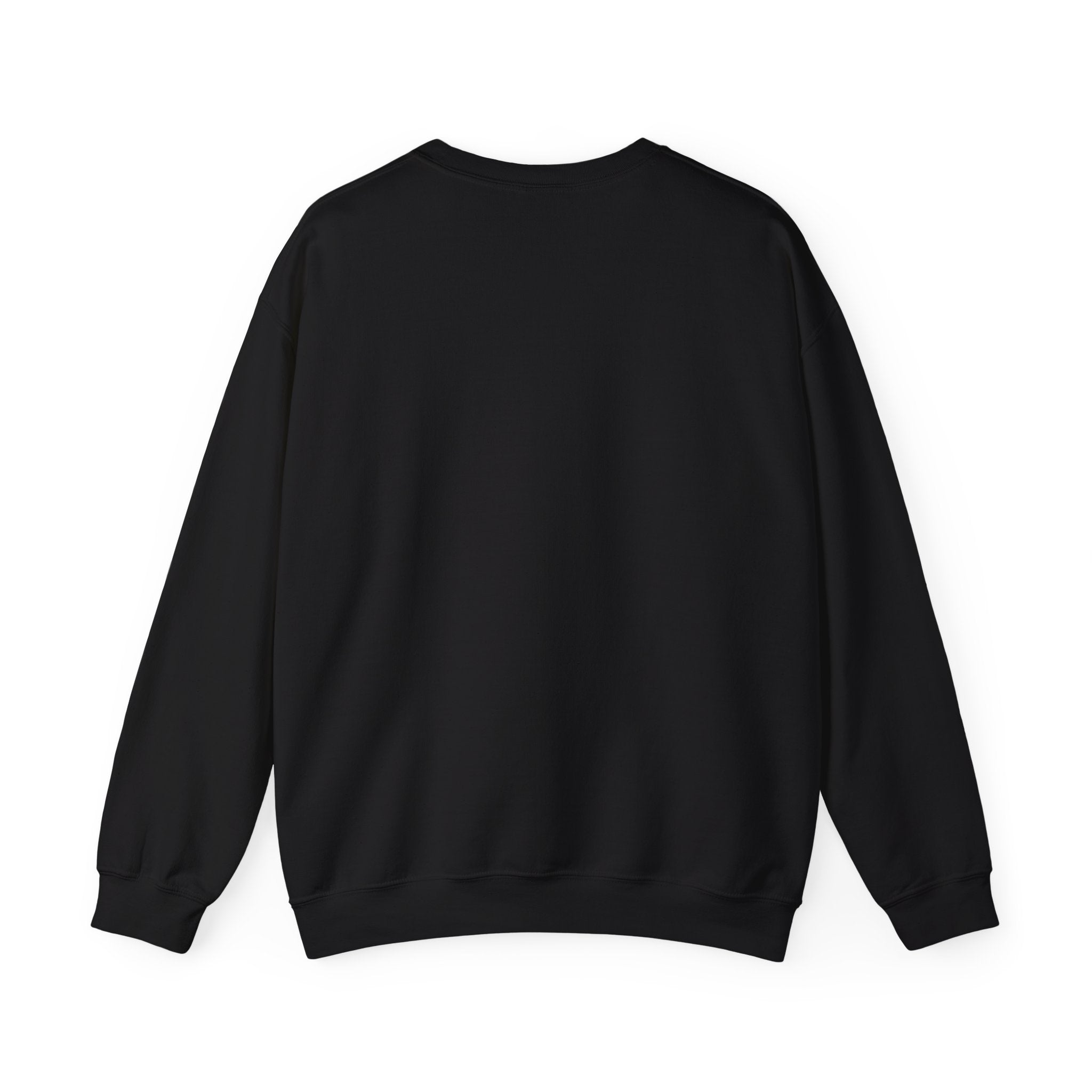 Cute Kittens Skateboarding Unisex Sweatshirt for Cat Lovers and Teens