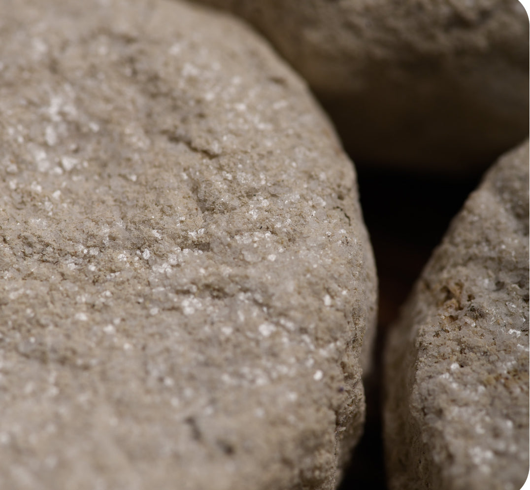 7 Day Smoke Cleansing Charcoal Tablets Collection