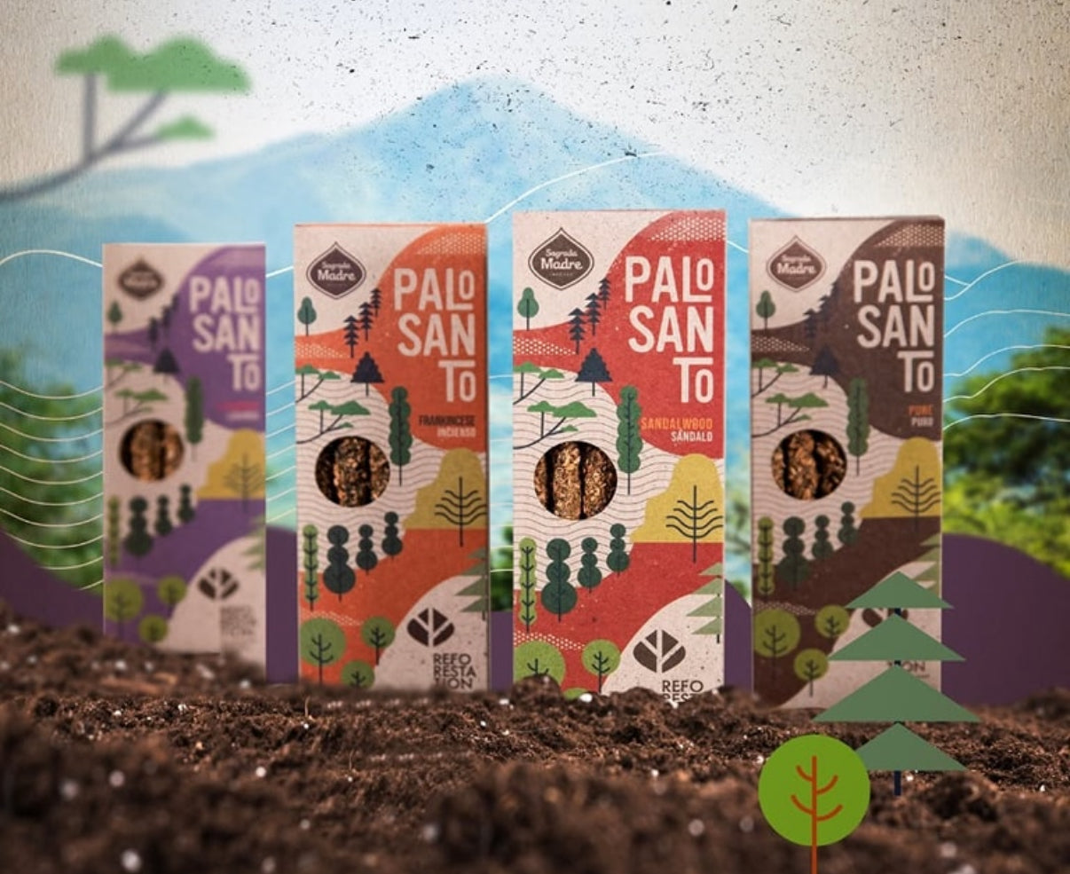 Pure Palo Santo Shorts Collection