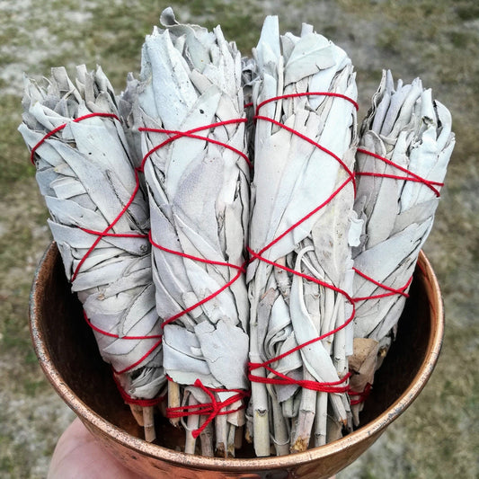 White Sage Bundle | Cleanse & Clear