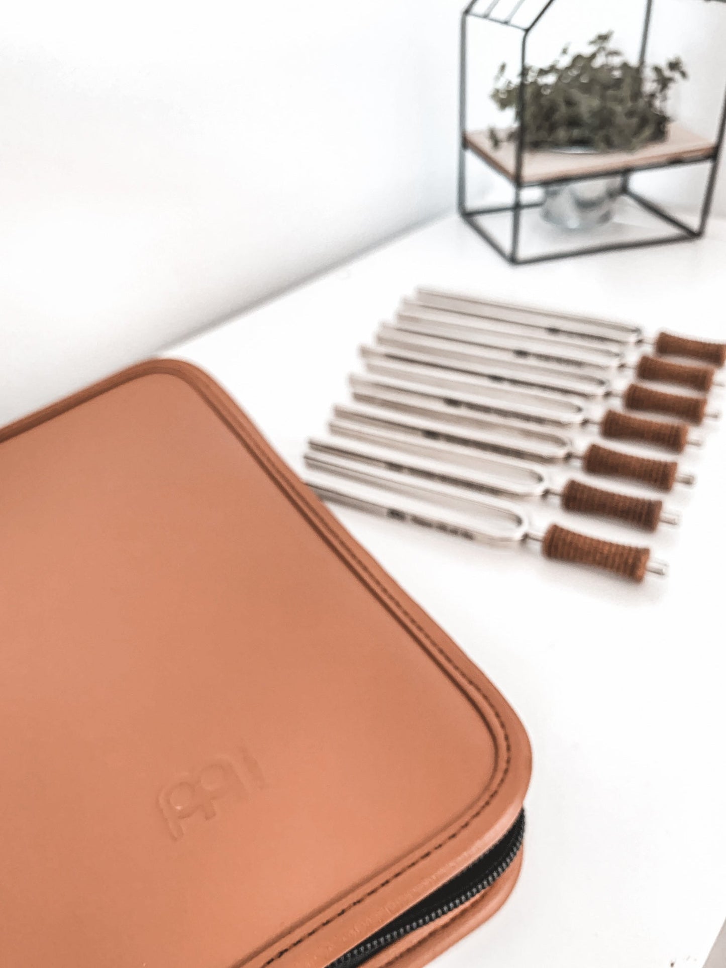 7 Chakra Healing Tuning Fork Set with Travel Case