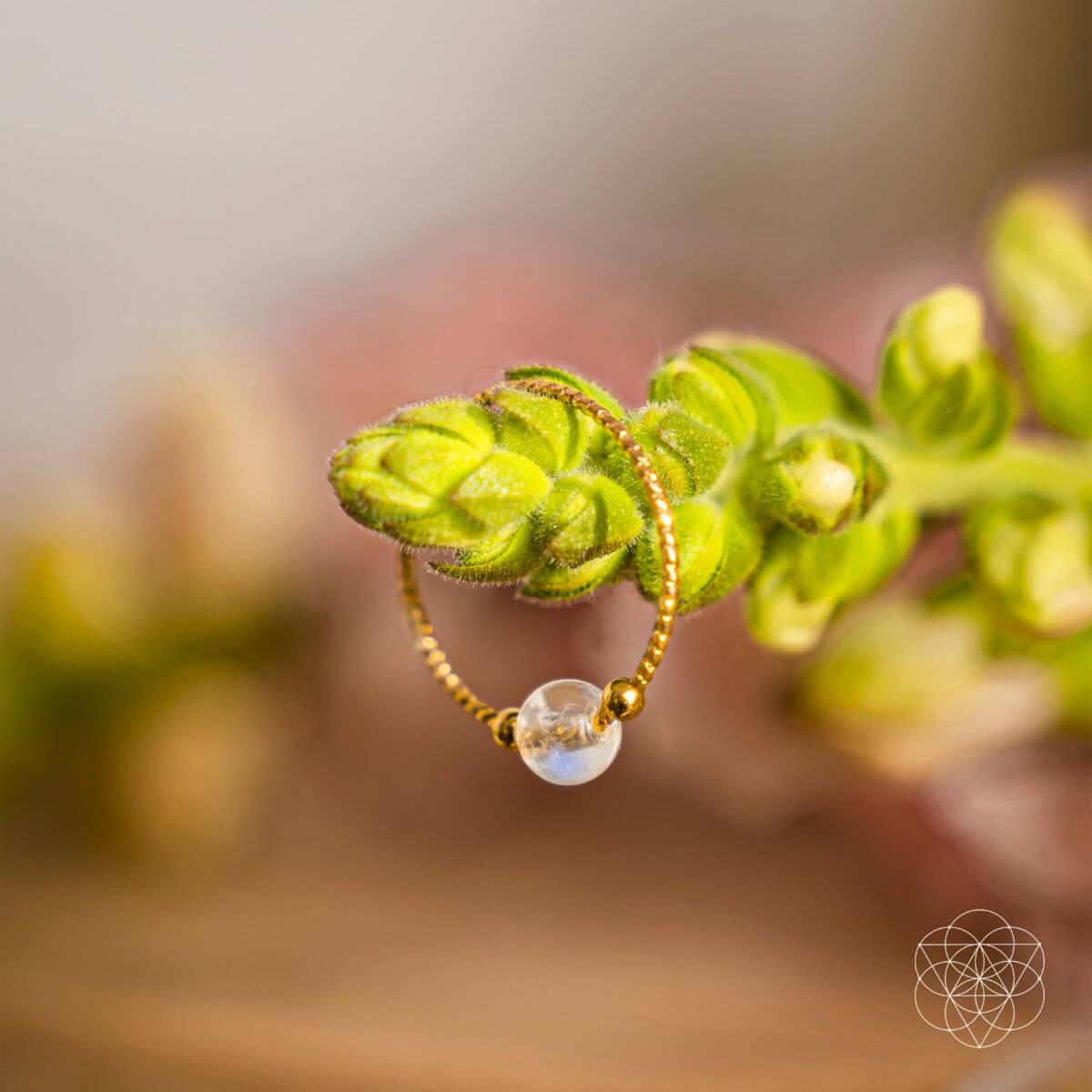 The Lunar Ring of Power